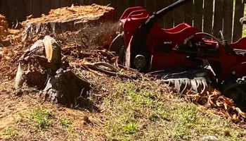 Stump Grinding for Anchor & Grind Stump in Chesapeake, VA