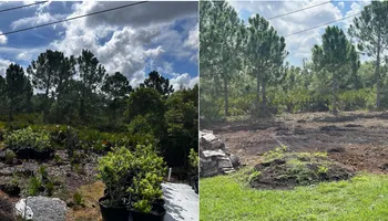 Forestry Mulching for SWF Land Clearing Solutions in Fort Myers, FL