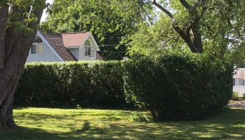 Mowing for Sousa Landscape Design and Services in Madison, CT