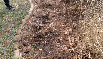 Landscape Design for MDR Landscaping in Urbana, IL