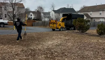 Tree Trimming for DIAZ TREE in Stafford, VA