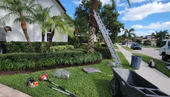 Tree Trimming & Removal for L & J Palm Tree & Lawn Care Services in Jupiter, FL