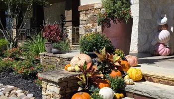 Mowing for Bruno's Professional Lawn's & Landscape in Beaumont, TX