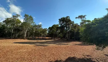 Land Clearing for McLeran in Naples, FL