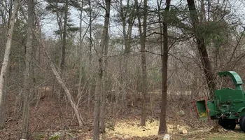 Tree Removal for Silver City Tree Service in Taunton, MA