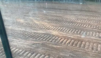 Site Preparation for Divine Construction Services in Brazoria County, TX