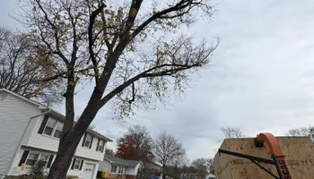 Mowing for Silburn Lawn & Landscape in Odenton, MD