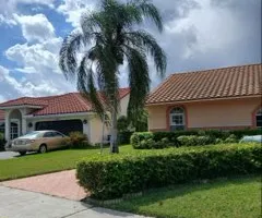 Tree Removal for ASAP Tree Service in Sebastian, FL