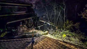 Tree Removal for Down To Earth Tree Service in Red Wing,  Minnesota