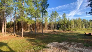 Land Clearing for South Mississippi Land Management LLC in Columbia, Mississippi