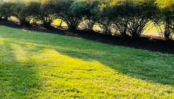 Roofing Installation and Repairs for Manny's Cleaning,Lawn Care & Snow Removal Services in Champaign, IL