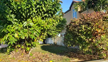 Fall and Spring Clean Up for Curb Appeal Lawn Care LLC. in Gulfport, FL