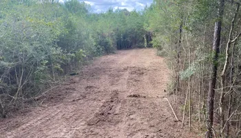 Land Clearing for South Mississippi Land Management LLC in Columbia, Mississippi
