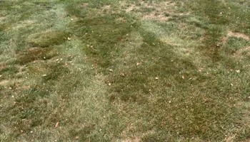 Mowing for AB Lawn Care in Plymouth, IN