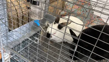 Plumbing Remodels for Mr. Pipe Dreams LLC in Colorado Springs, CO