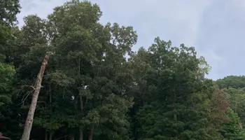 Residential & Commercial Excavation for Upchurch Property Management in Vass, NC
