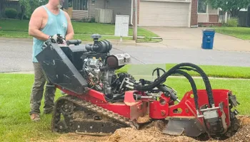 Tree Removal for Tree Life Tree Service in Wichita, KS