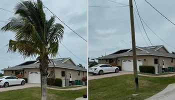 Tree Removal for Lemon Bay Tree Service  in Englewood, FL