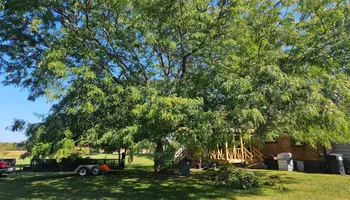 Tree Removal for Highborn Tree Service in Wheatfield, IN