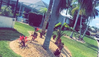 Stump Grinding for Rize N’ Grind  in Punta Gorda, FL