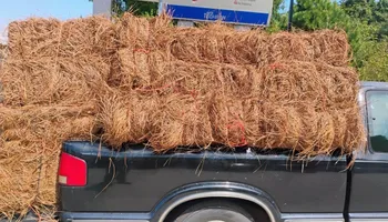 Pinestraw for BAM Another Pinestraw Lot in Flowery Branch, GA
