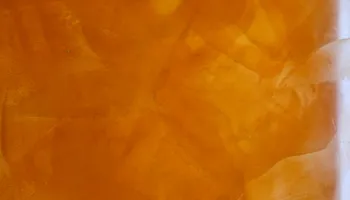 Interior Painting for Kranenburg Painting Inc in Venice, FL