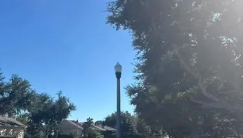 Tree Removal for Ryker's Tree Service in Dunedin, FL