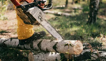 Tree Removal for Exclusive Demolition & Tree Service in Houston, TX