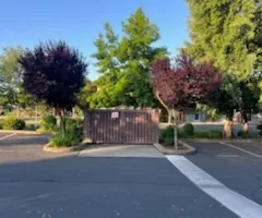 Tree Removal for Sammy's Tree Services in Sacramento, CA