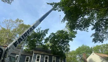 Tree Trimming for DIAZ TREE in Stafford, VA
