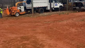 Tree Removal for Brooks Tree Service in Casar, NC