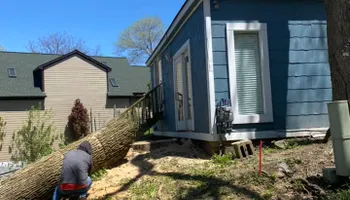 Tree Removal for Ramirez Tree Care in Pontiac, Michigan