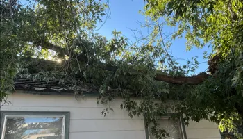 Tree Removal for Ascension Tree Care LLC in Yakima County, WA