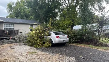 Tree Removal for Ross Family Tree Service LLC  in Hohenwald, TN