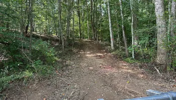 Forestry Mulching for Southern Land Solutions Forestry Mulching, LLC in Cleveland, NC