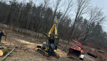 Tree Removal for Leaf and Limb in Townsend, MA
