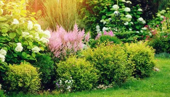 Tree Removal for ASAP Tree Service in Sebastian, FL