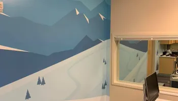 Professional Murals for Unique Customs  in Denver, Colorado