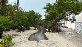 Land Clearing for McLeran in Naples, FL