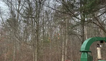 Tree Removal for Silver City Tree Service in Taunton, MA