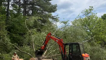 Land Clearing for Hunt’s Hauling & Landworks LLC in Danville, VA