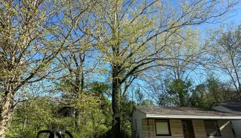 Tree Removal for Greenskeeper Property Management in Elizabethtown, KY