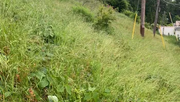 Mowing for Bega Landscape Services in Atlanta, Georgia
