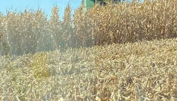 Land Clearing & Demolition for Bro-Mac & Sons in Springfield, Illinois