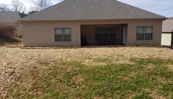 Tree Removal for Rush Tree Specialist in Knoxville, TN