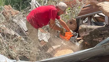 Land Clearing & Demolition for Ewc Land Clearing and more in Lake Park, GA