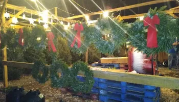 Pinestraw for BAM Another Pinestraw Lot in Flowery Branch, GA