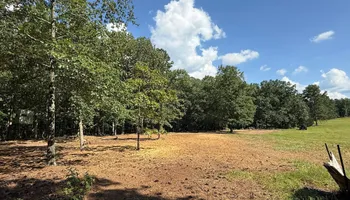 Land Clearing for Mud Creek Vegetation Management in Russellville, AL