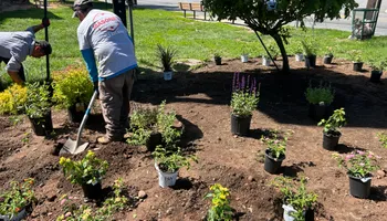 Masonry for Garciano Masonry in Springfield Township, NJ