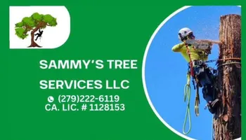 Tree Removal for Sammy's Tree Services in Sacramento, CA